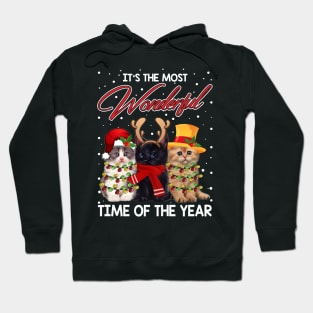 it's the most wonderful time of the year Hoodie